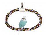 JW Pet Swing N Perch Ring Multi-Color 1ea/MD