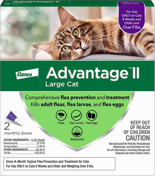 Advantage II Cat Large Purple 2-Pack