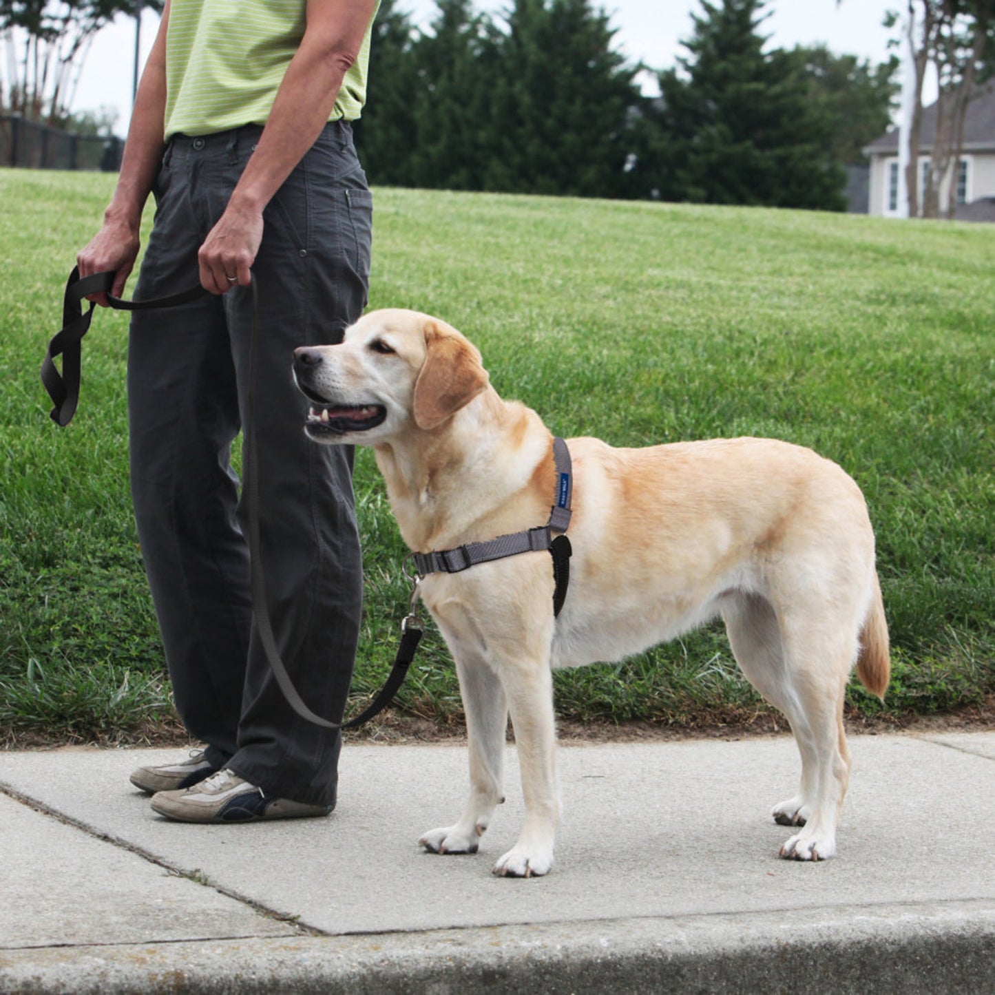 PetSafe Deluxe Easy Walk Steel Dog Harness Black/Steel 1ea/MD/LG