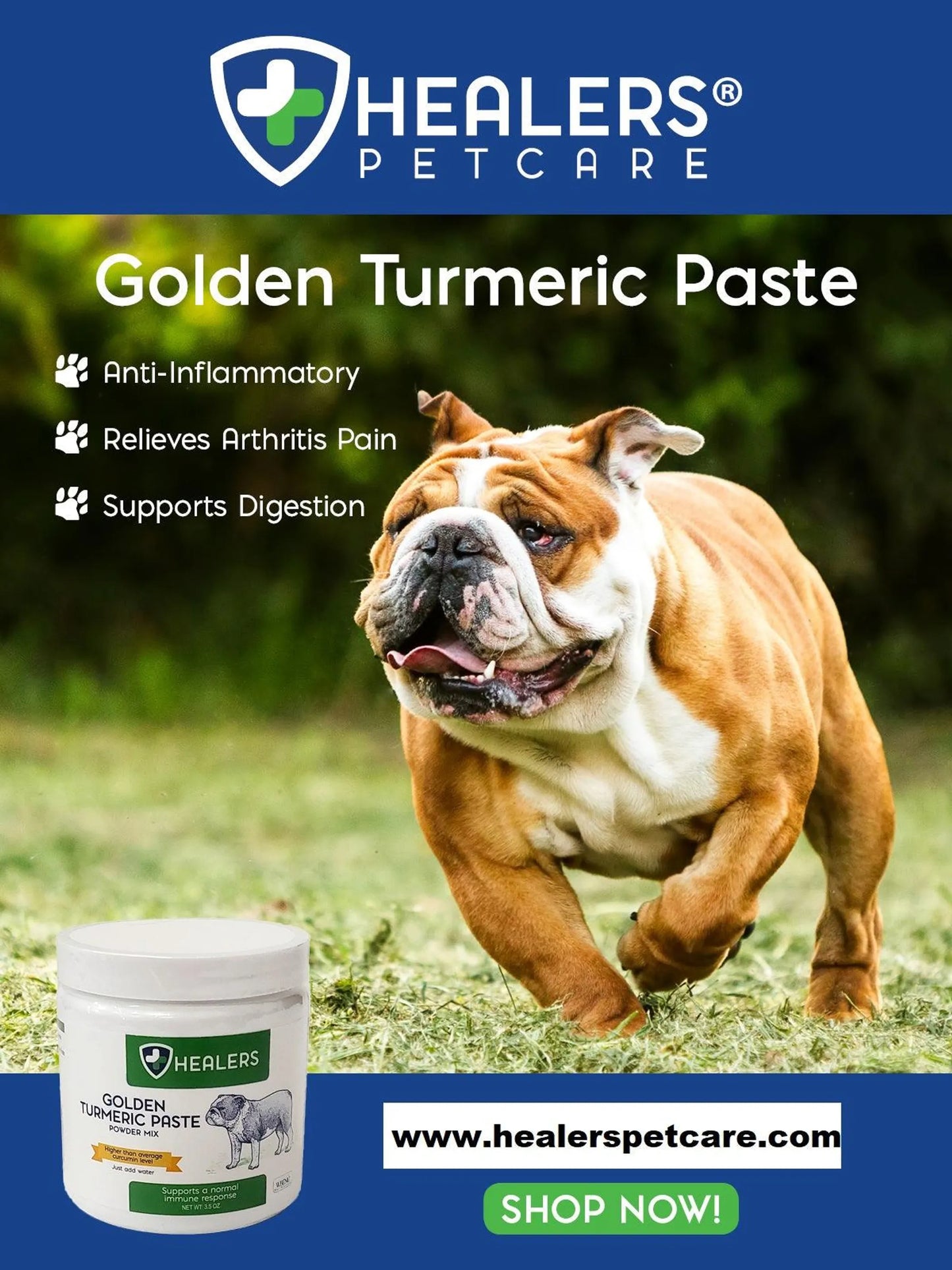 Healers Golden Turmeric Paste for Dogs