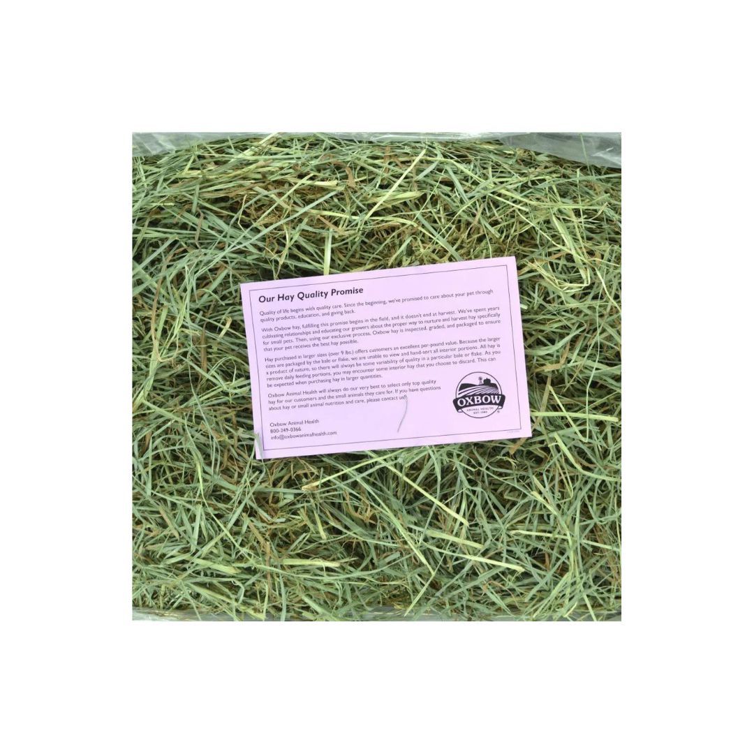 Oxbow Animal Health Orchard Grass Hay 1ea/40 oz