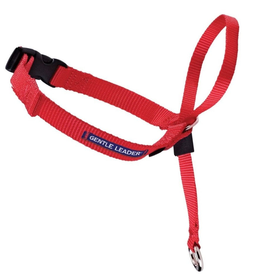 PetSafe Headcollar No-Pull Dog Collar Red 1ea/MD