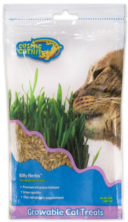 OurPets Kitty Herbs Growable Cat Grass 1ea/5 oz