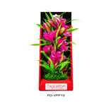 Aquatop Vibrant Passion Plant Pink 1ea/10 in