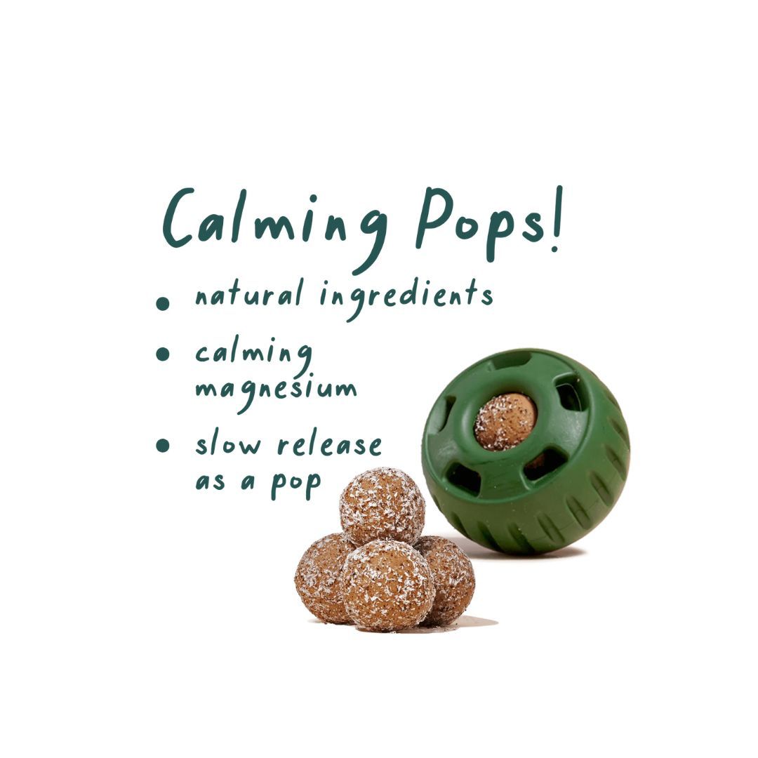 Woof Dog Wellness Pops Calming Small 6Oz