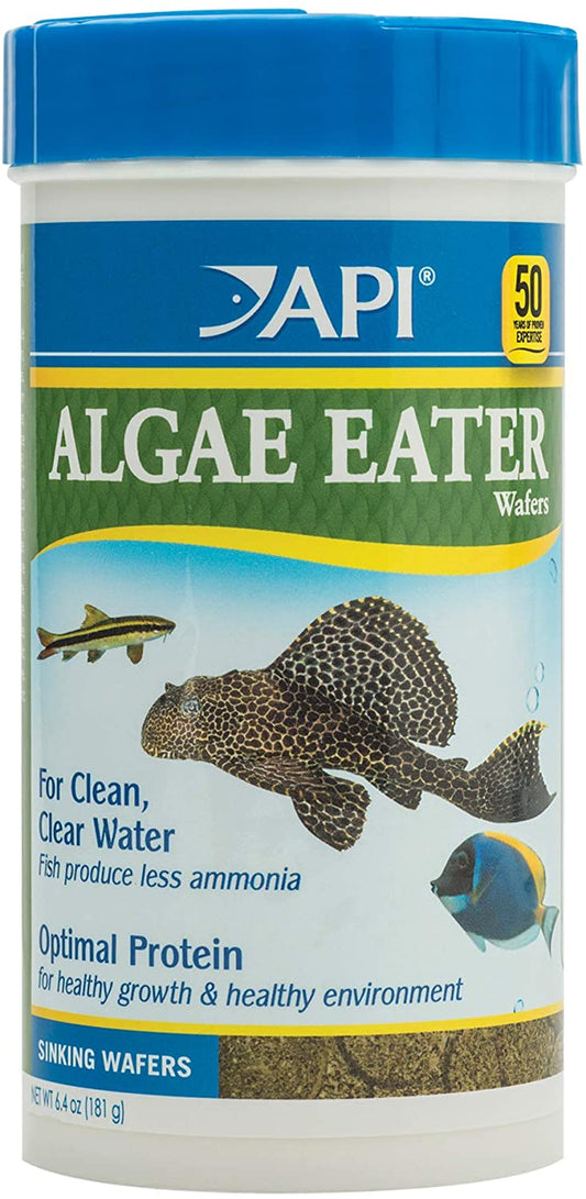 API Algae Eater Sinking Wafers Fish Food