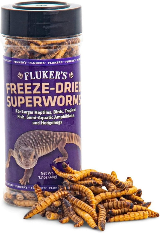 Flukers Freeze Dried Superworms for Reptiles