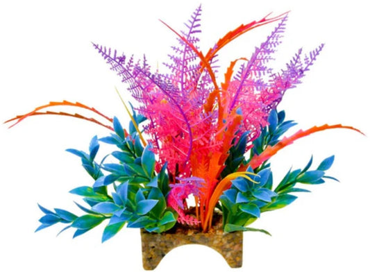 Blue Ribbon Vibran-Sea Garden Clusters Tropical Archway Plant