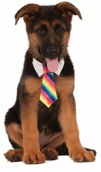 Rubie's Pet Rainbow Dog Tie L/XL