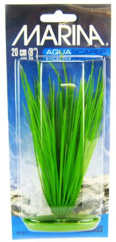 Marina Hairgrass Aquarium Plants