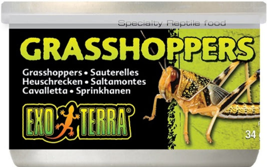 Exo Terra Grasshoppers Reptile Food